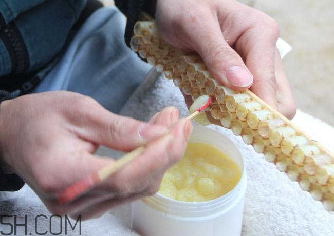 蜂王漿的營養(yǎng)成分有哪些？怎么辨別真假蜂王漿？