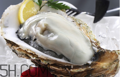 生蠔有哪些食用禁忌？如何像行家一樣吃生蠔？