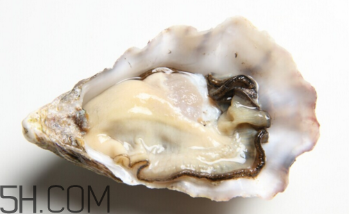 扇貝和生蠔有什么區(qū)別？扇貝和生蠔的營養(yǎng)價(jià)值