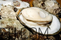 吃生蠔應(yīng)該注意哪些事項？生蠔與牡蠣的區(qū)別