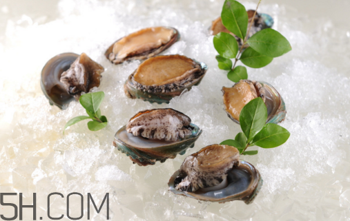 鮑魚怎么做好吃？吃鮑魚注意事項(xiàng)