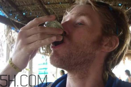 生蠔有哪些食用禁忌？如何像行家一樣吃生蠔？