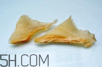 魚翅怎么發(fā)？孕婦可以吃魚翅嗎？