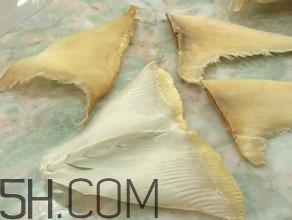 真假魚翅怎么辨別？魚翅的營養(yǎng)價(jià)值
