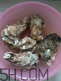吃生蠔應(yīng)該注意哪些事項？生蠔與牡蠣的區(qū)別