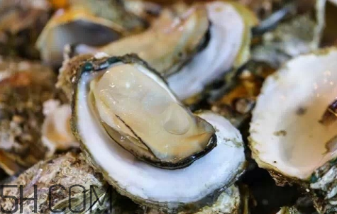 生蠔生吃好嗎？生蠔怎么吃最有營養(yǎng)？