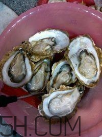 吃生蠔應(yīng)該注意哪些事項？生蠔與牡蠣的區(qū)別