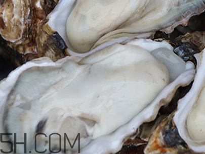 生蠔是什么？吃生蠔的注意事項