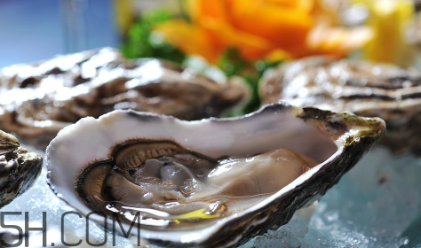 如何挑選活的生蠔？生蠔怎么吃圖解