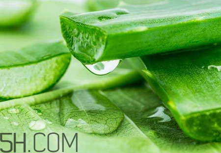 雅麗潔蘆薈膠有激素嗎？雅麗潔蘆薈膠測(cè)評(píng)