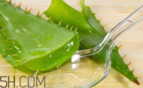 雅麗潔蘆薈膠和完美蘆薈膠哪個(gè)好？