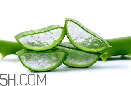 雅麗潔蘆薈膠和完美蘆薈膠哪個(gè)好？