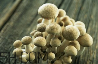 如何判斷生蠔烤熟沒有？生蠔可以和蘑菇一起吃嗎？