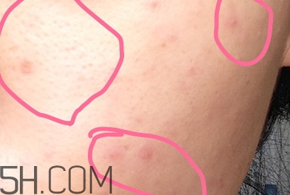 豬油膏怎么用？豬油膏使用順序