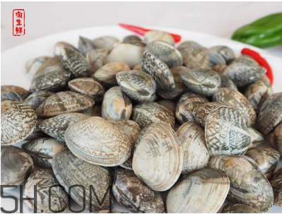 花甲可以冷凍嗎？養(yǎng)花甲鹽和水的比例是多少？