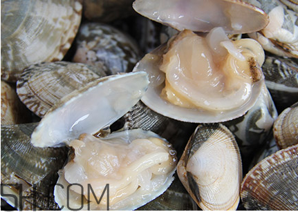 花甲可以冷凍嗎？養(yǎng)花甲鹽和水的比例是多少？