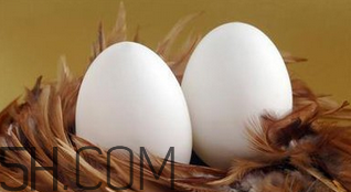 生蠔和雞蛋可以一起吃嗎？生蠔不熟可以吃嗎？