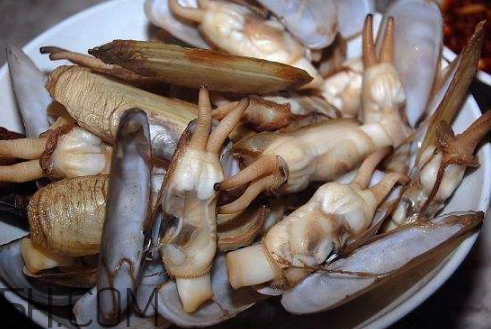 蟶子里面的黑色能吃嗎？蟶子為什么一撒鹽就出來(lái)？
