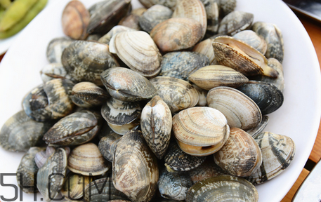 花蛤怎么清洗才干凈？寶寶可以吃花甲嗎？