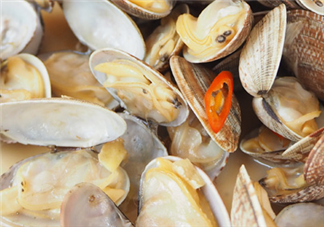 花甲可以冷凍嗎？養(yǎng)花甲鹽和水的比例是多少？