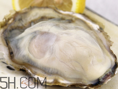 生蠔和芒果可以一起吃嗎？孕婦可以吃生蠔嗎？