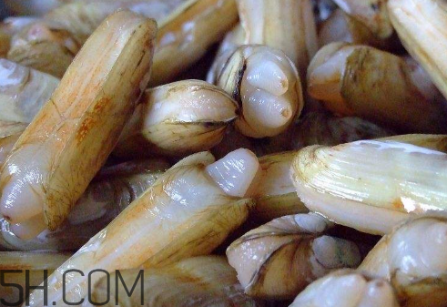 蟶子里面的黑色能吃嗎？蟶子為什么一撒鹽就出來(lái)？