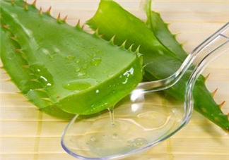 自然樂園蘆薈膠孕婦可以用嗎？自然樂園蘆薈膠使用心得