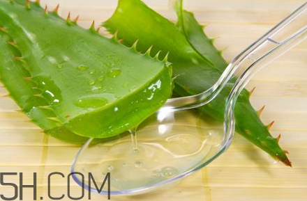 自然樂園蘆薈膠孕婦可以用嗎？自然樂園蘆薈膠使用心得