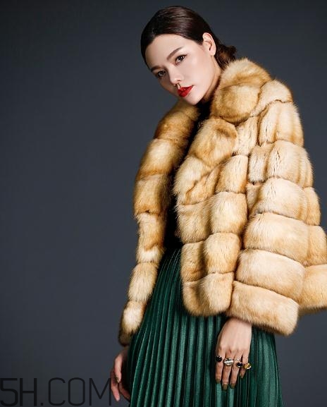 裘皮大衣是什么動(dòng)物皮？裘皮大衣怎么保養(yǎng)？