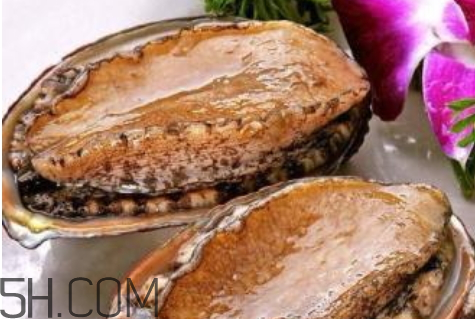 鮑魚頭數多好還是少好 鮑魚頭數怎么區(qū)分