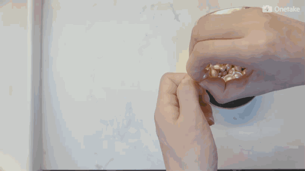 雅頓金膠怎么打開？雅頓金膠膠囊怎么扭開？