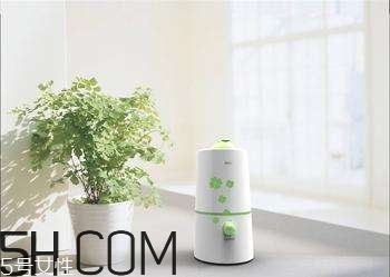 加濕器的使用誤區(qū)有哪些？加濕器的功能介紹