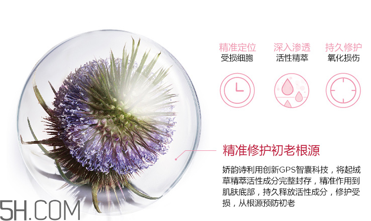 嬌韻詩青春賦活日間乳 嬌韻詩青春賦活日間乳