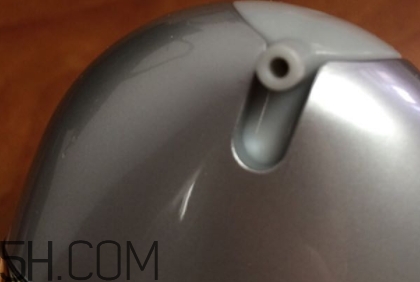 雅頓小銀蛋是什么？雅頓小銀蛋多少錢？