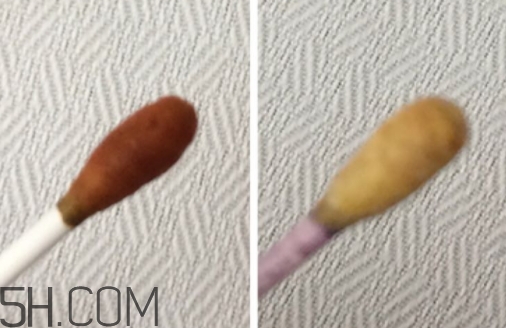 雅頓小銀蛋是什么？雅頓小銀蛋多少錢？