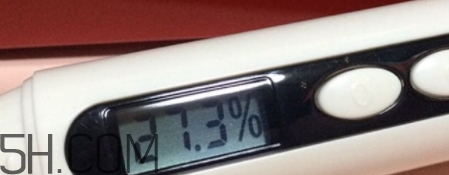 雅頓小銀蛋是什么？雅頓小銀蛋多少錢？