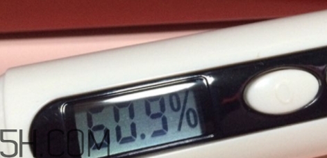 雅頓小銀蛋是什么？雅頓小銀蛋多少錢？