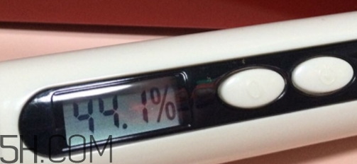 雅頓小銀蛋是什么？雅頓小銀蛋多少錢？