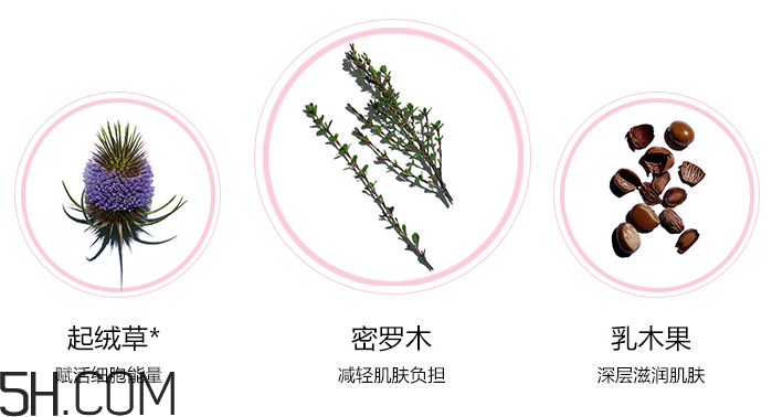 嬌韻詩青春賦活日間乳 嬌韻詩青春賦活日間乳