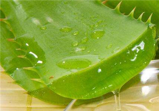 自然樂園蘆薈膠怎么用？自然樂園蘆薈膠使用方法