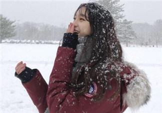 加拿大鵝羽絨服怎么樣？加拿大鵝羽絨服好嗎？