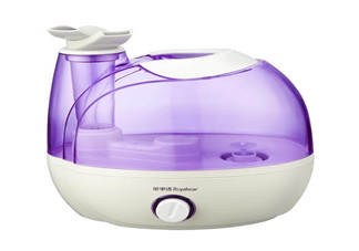 加濕器多少錢一臺？加濕器品牌推薦？