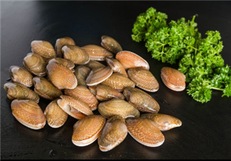 花甲怎么吃？吃變質(zhì)花甲的危害