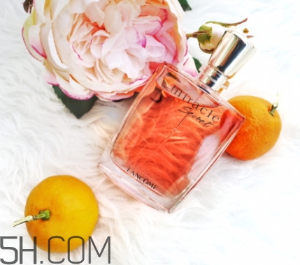 蘭蔻全新奇跡密語香水好聞嗎？蘭蔻全新奇跡密語香水香調(diào)