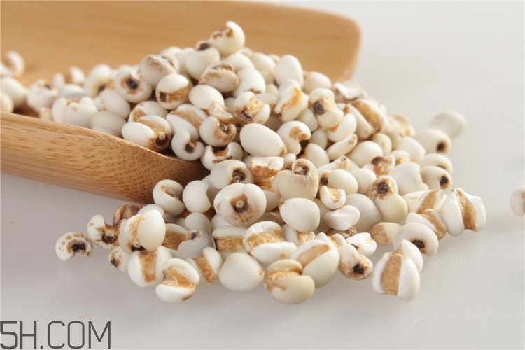 各種米的功效有哪些？米類食物的養(yǎng)生功效有哪些？