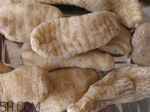 天麻能泡水喝嗎？吃天麻有什么作用？