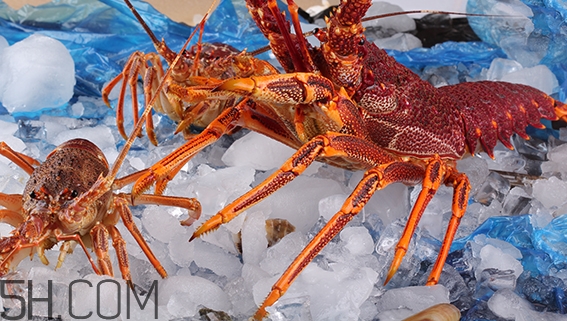 吃什么食物可以讓胸部變大？豐胸的食物有哪些？