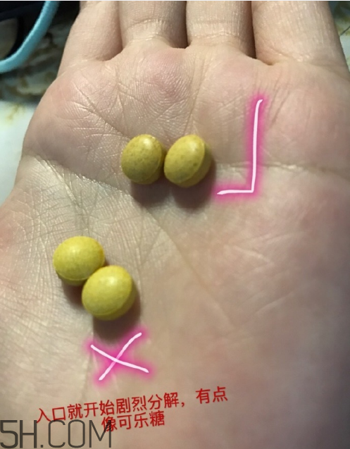 新谷酵素多少錢一盒？新谷酵素真假辨認