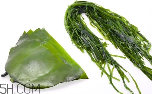海帶的做法有哪些？怎么挑選優(yōu)質(zhì)海帶？