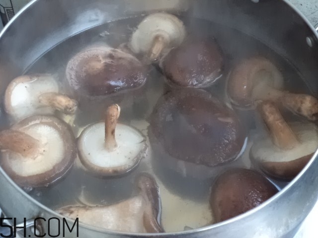 香菇和白蘿卜可以一起吃嗎？香菇和白蘿卜一起吃有什么好處？